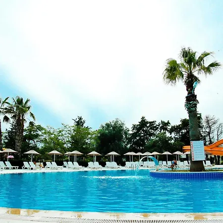 The Didim